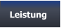 Leistung